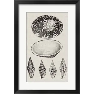 Worldwide Shipping Charcoal & Linen Shells IIIby Vision Studio