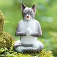 Grey Cat in Deep MeditationPainted Suar Wood Sculpture of a Meditating Cat from Bali Cheap