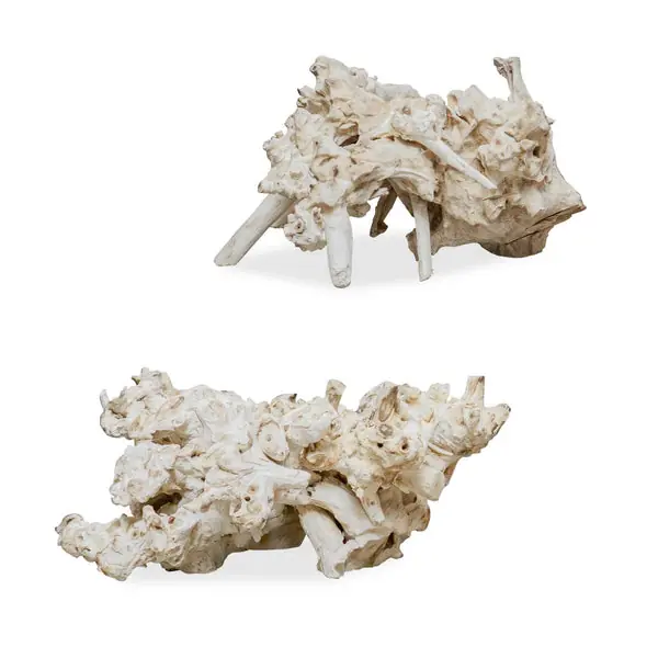 ElementalRootOutdoorSculptures-SetOf2 Shop Now