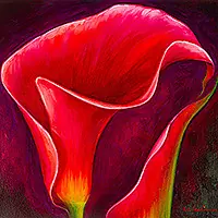 Worldwide Shipping Pink Calla LilyStretched Impressionist Oil on Canvas Calla Lily Painting