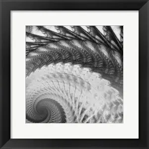 Helix Iby James Burghardt Affordable