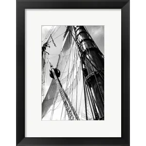 Worldwide Shipping Set Sail IIIby Laura Denardo