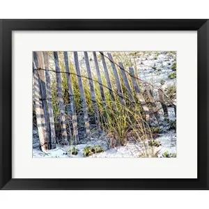Worldwide Shipping Sea Oats Iby Danny Head