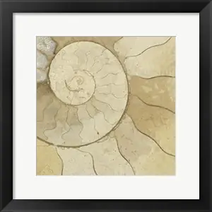 Worldwide Shipping Organic Elements Vby Vision Studio