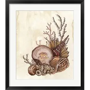 Affordable Baroque Nautilus Iby Naomi McCavitt