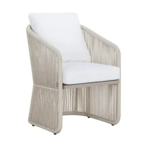AllarizDiningArmchair Shop Now