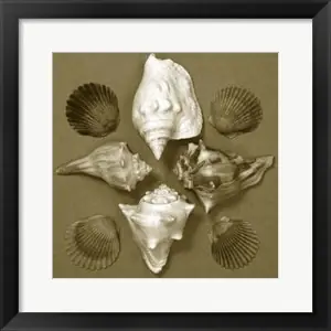 Fan Favorite Shell Collector Series IIIby Renee Stramel