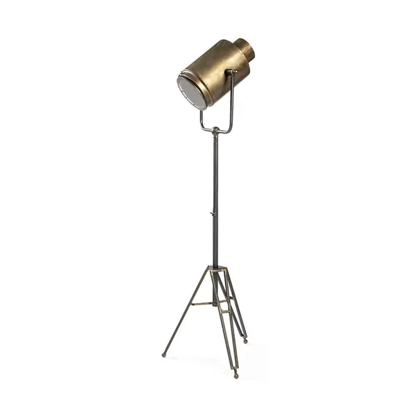 Debdou(61"h)GoldMetalAdjustableCinema-styleFloorLamp Hot Picks