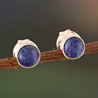 Order Now Marine GlowSilver Stud Earrings with Round Natural Sodalite Stones
