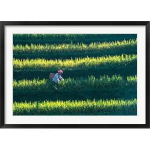 Zhuang Girl in the Rice Terrace, Chinaby Keren Su / Danita Delimont Trending