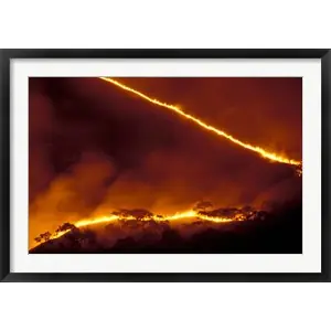 Forest Fire, Gombe National Park, Tanzaniaby Kristin Mosher / Danita Delimont Express Delivery