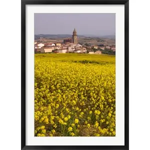 Yellow mustard flowers, Elvillar Village, La Rioja, Spainby Janis Miglavs / Danita Delimont Super Sale