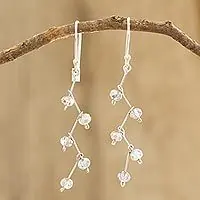 Crystal SparkleCrystal Bead Dangle Earrings With Sterling Silver Hooks While Supplies Last