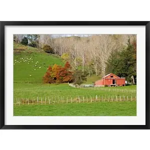 Wool Shed and Farmland, Kawhatau Valley, Rangitikei, North Island, New Zealandby David Wall / Danita Delimont Latest