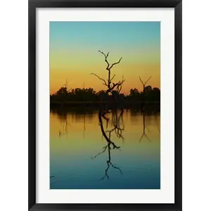 Worldwide Shipping Dead trees, Lily Creek Lagoon, Lake Kununurra, Australiaby David Wall / Danita Delimont