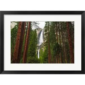 Yosemite Falls Through A Forestby Russ Bishop / DanitaDelimont Last Chance