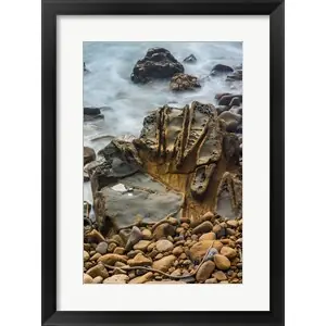 Best Seller Tafoni Formation At Salt Point State Parkby Judith Zimmerman / DanitaDelimont