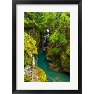 Worldwide Shipping Avalanche Creek, Glacier National Park, Montanaby Russ Bishop / DanitaDelimont