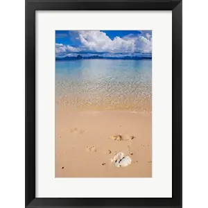 Worldwide Shipping Sandy Beach And Clear Waters In The Bacuit Archipelago, Philippinesby Michael Runkel / DanitaDelimont