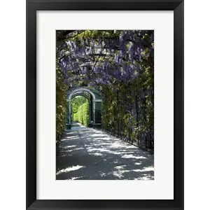 Worldwide Shipping Wisteria Arbor In Garden, Austria, Vienna, Schonbrunn Palaceby Lisa S. Engelbrecht / Danita Delimont