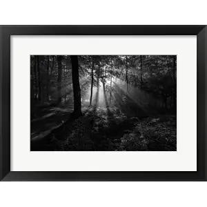 A Sunny Morningby Leif Londal Viral