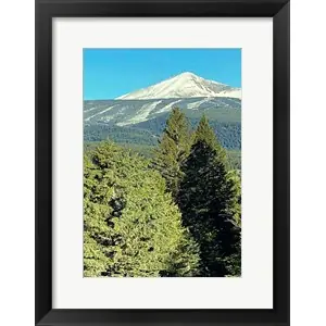 A 3D Viewby Anna Coppel Exclusive Offer