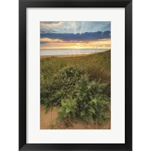 Worldwide Shipping Dutch Dunesby Martin Podt