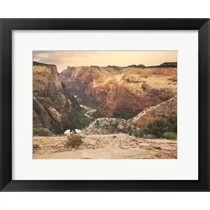 Zion Desert Lifeby Lori Deiter Seasonal Sale