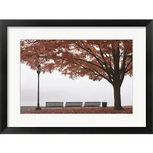 A Place to Dreamby Lori Deiter Exclusive Offer