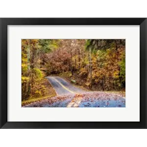 Woodland Road IIby Andy Amos Clearance