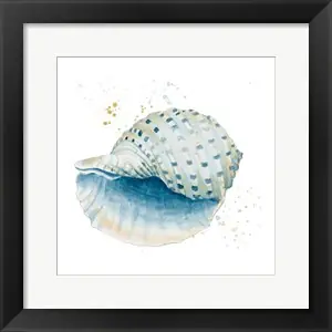 Worldwide Shipping Caracol Azul Squareby Patricia Pinto