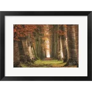 Wrappedby Martin Podt Price Cut