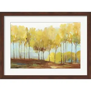Yellow Treesby Allison Pearce Special Offer