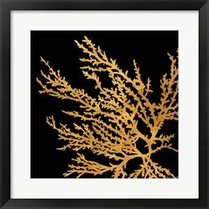 Worldwide Shipping Coastal Coral on Black Iby Lanie Loreth