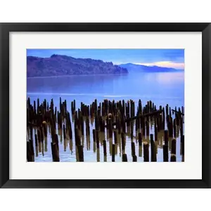 Wooden posts in water, Columbia River, Washington, USA Buy Today