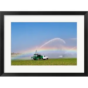 Budget Rainbow seen under the spray from sprinkler in a vegetable field, Florida, USA