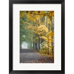 Tunnel Through Misty Forestby Brooke T. Ryan Original