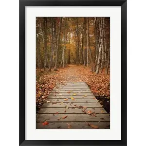 Woodland Pathby Michael Hudson Certified