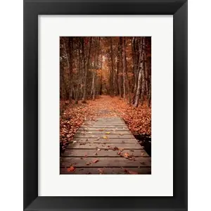 Woodland Pathby Michael Hudson Direct From Factory