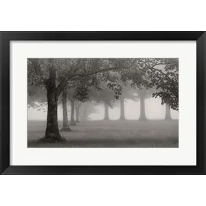 Factory Price Trees In Early Autumnby Nicholas Bell