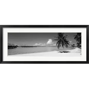 Original Moana Beach (black and white), Bora Bora, Tahiti, French Polynesiaby Panoramic Images